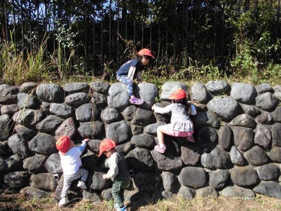 写真：自然豊かな環境で遊んでいる様子