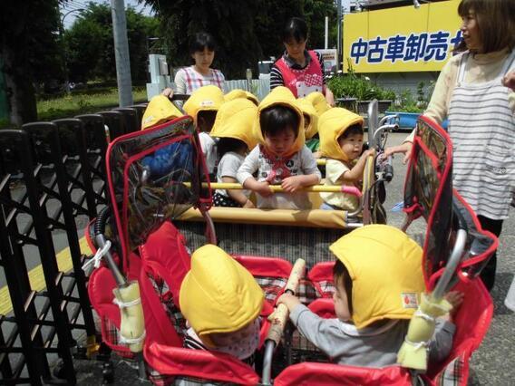 写真：散歩の様子