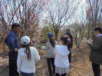 写真：植木農家さんに取材している様子