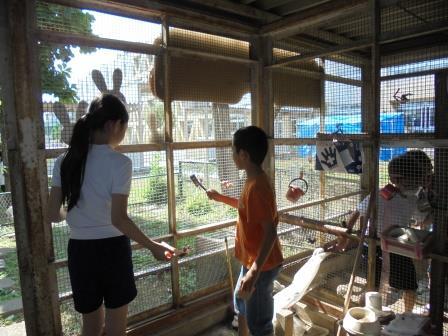 写真：小屋の掃除をしたり、ペンキを塗ったりしている様子