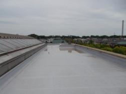 写真：幸福祉会館屋上