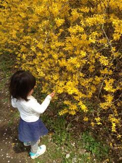 写真：子どもが花を触っている様子