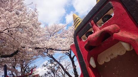 写真：立川の鬼門の桜