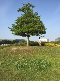 写真：みどりの文化ゾーンの丘から娘が会場を眺めている様子