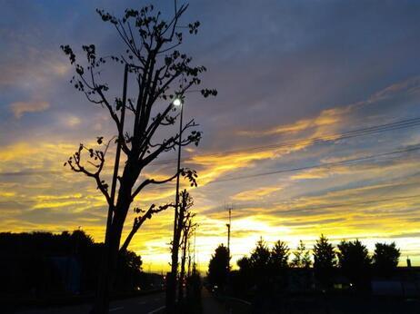 写真：虹の反対側の空の夕焼け