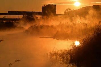 写真：朝日の中、多摩川から沸き立つ霧