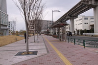 写真：裁判所方面への道