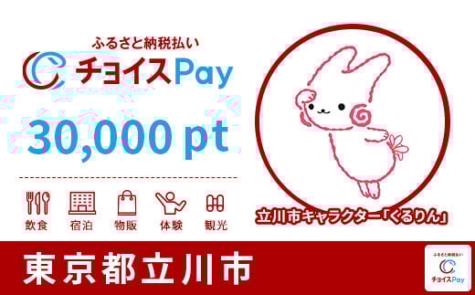 イラスト：チョイスPayポイント