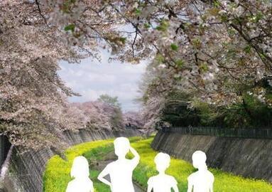 写真：川沿いに桜が咲く様子