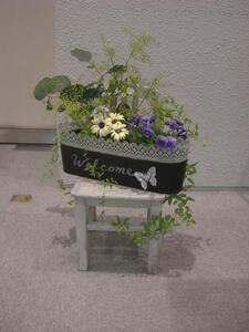 写真：ウェルカムグリーン