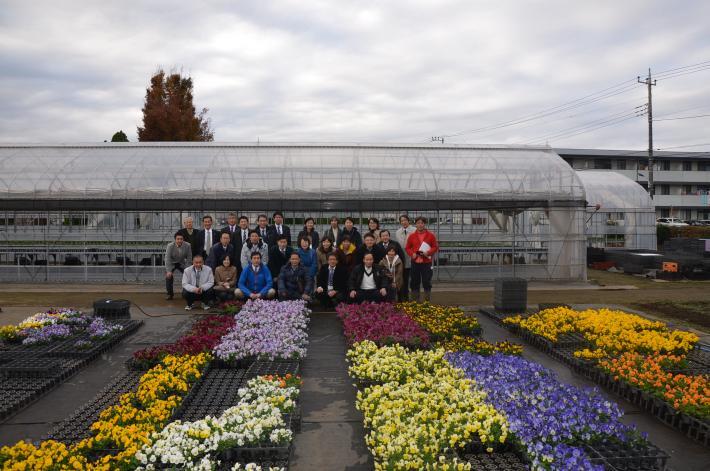 写真：花卉栽培