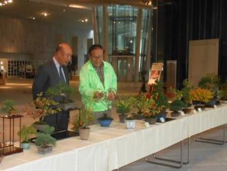 写真：第57回菊花展の様子