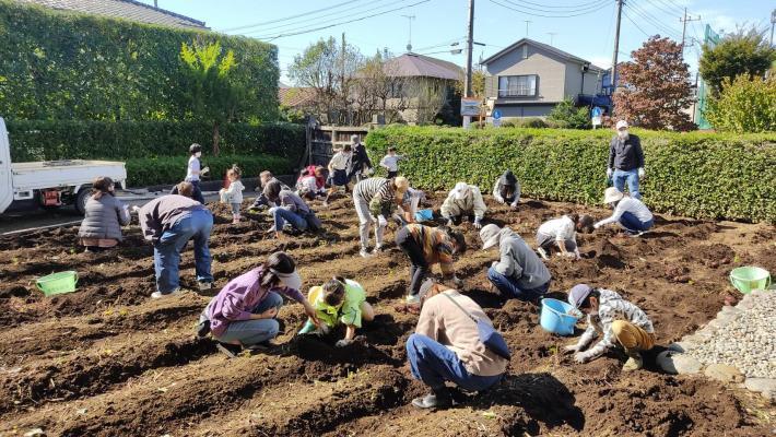写真：古民家園さつま芋堀り体験学習