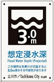 写真：多摩川版　3.0m浸水