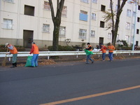 写真：道路の美化活動の様子2