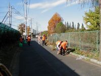 写真：道路の美化活動の様子4