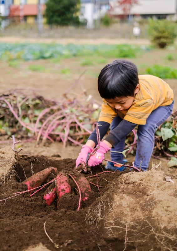 写真：第4回立川農業振興会議会長賞の受賞作品