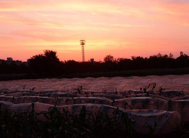 写真：第4回特別賞受賞作品2