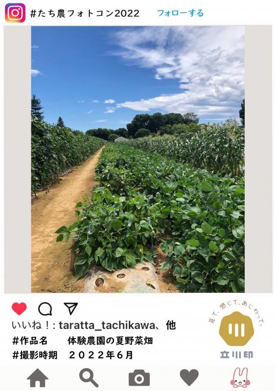 写真：第4回特別賞受賞作品3