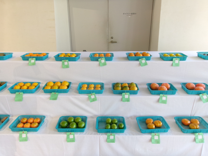農産物品評会の写真