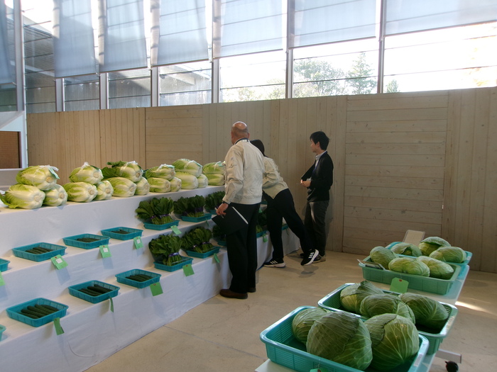 農産物品評会の審査の様子