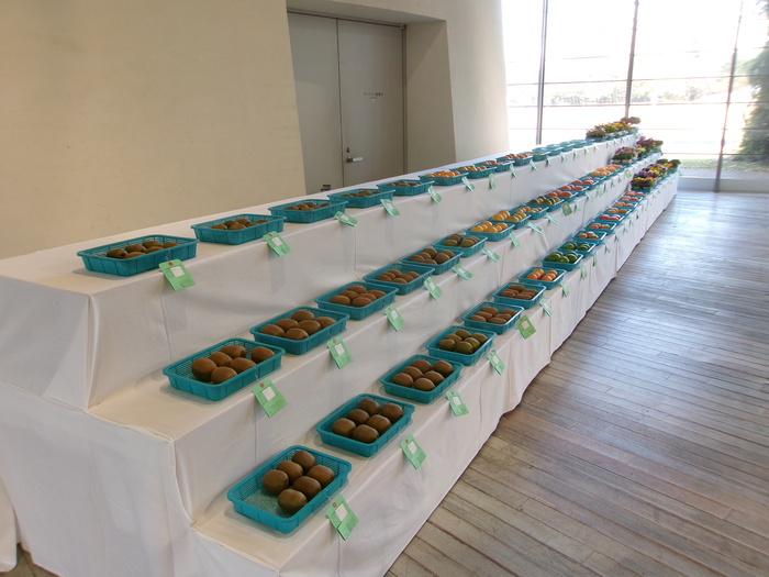 農産物品評会の写真