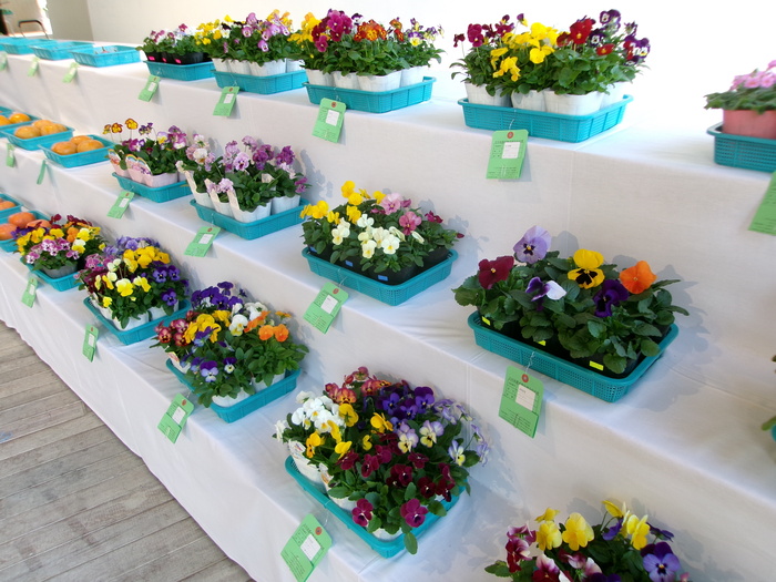 農産物品評会の写真