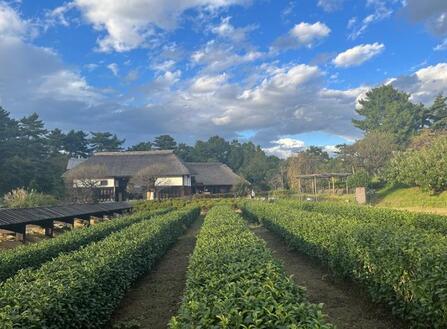 写真：第5回農フォトコン会長賞「忘れがたきふるさと」