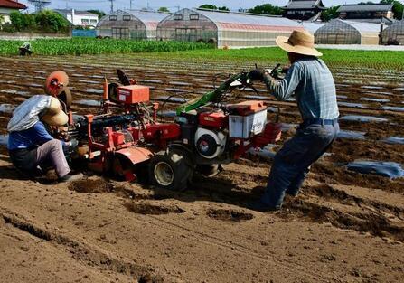 写真：第5回農フォトコン市長賞「農耕のはじまり」