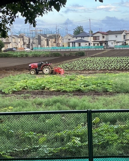 写真：第5回農フォトコン特別賞「盆休みの畑」