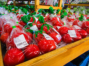 写真：立川のトマト