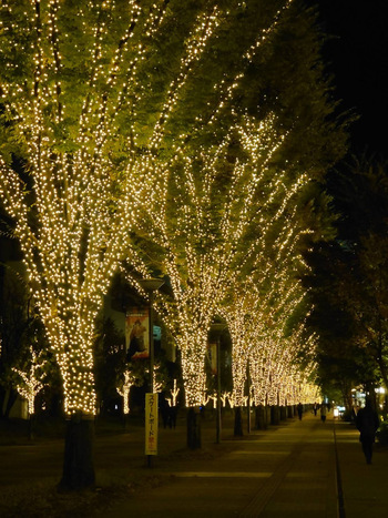 写真：イルミネーション