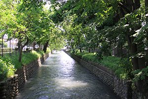 写真：玉川上水