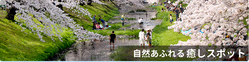 写真：自然あふれる 癒しスポット