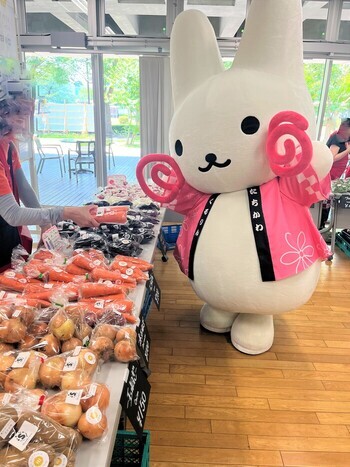 立川産野菜とくるりん