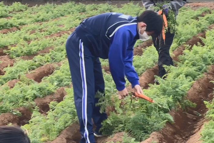 清水農園で野菜を収穫する画像