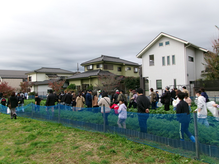 収穫に向かっている様子です。