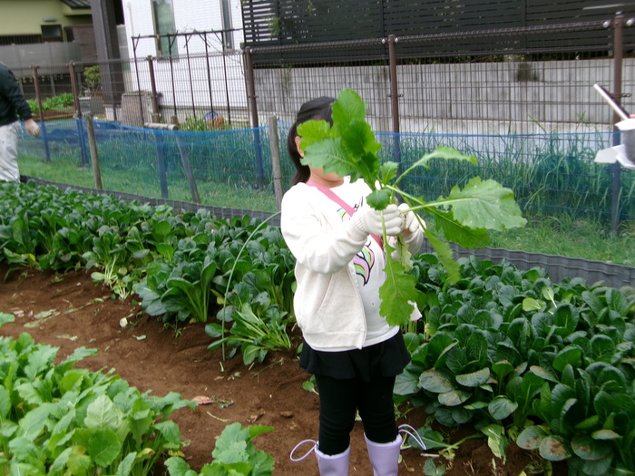 収穫した野菜を持つ子供の様子