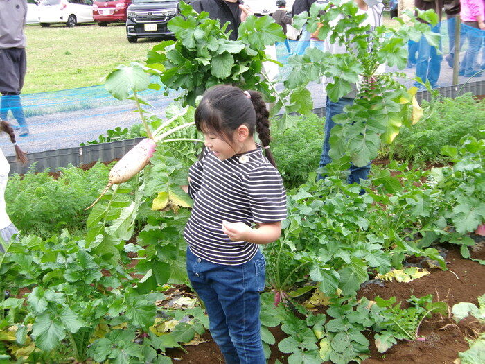 収穫した大根を持つ子供の様子