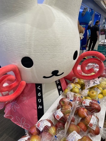 長野県大町市産のりんごを見ているくるりん