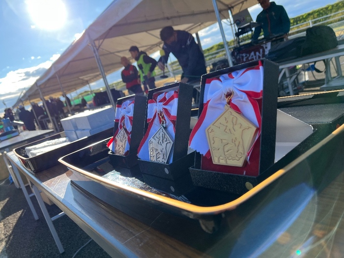 並べられている金メダル、銀メダル、銅メダル