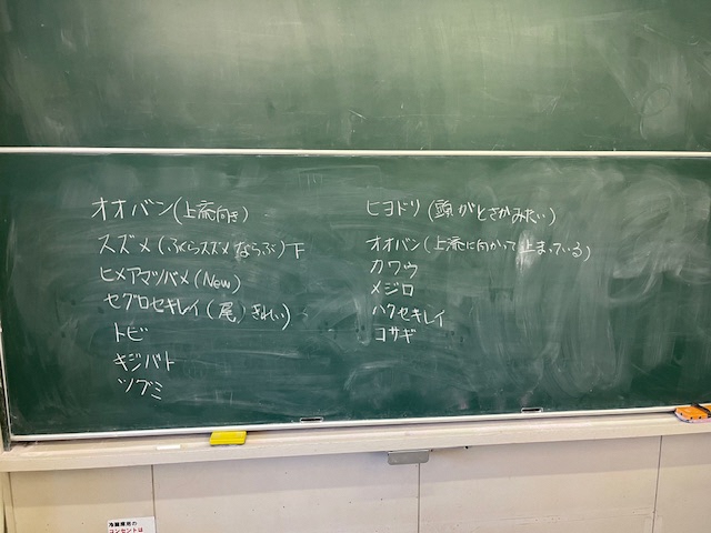 野鳥観察会（3）