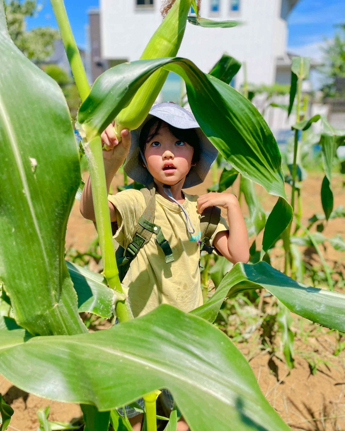 写真：第6回農フォトコン会長賞「大きなとうもろこし」