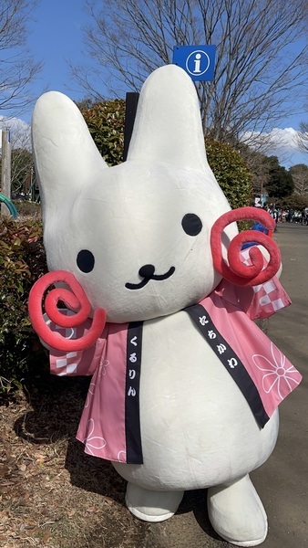 青空の下で元気いっぱいのくるりん