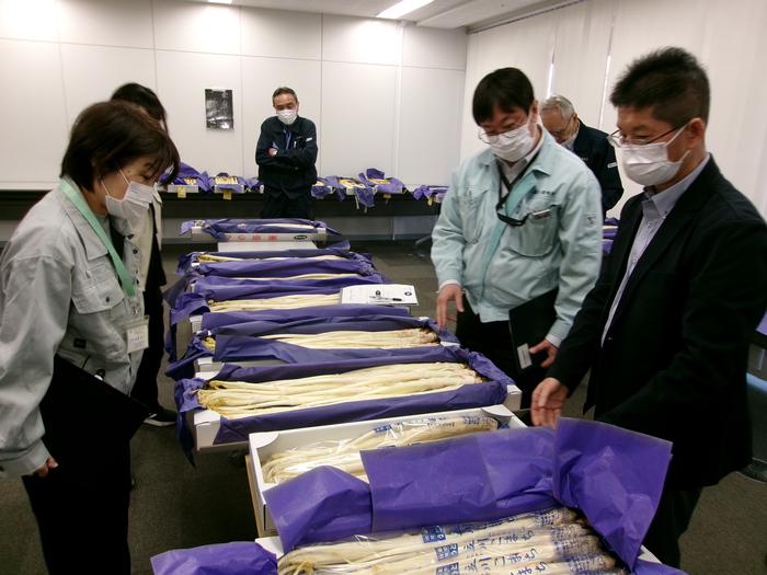 うど品評会審査の様子