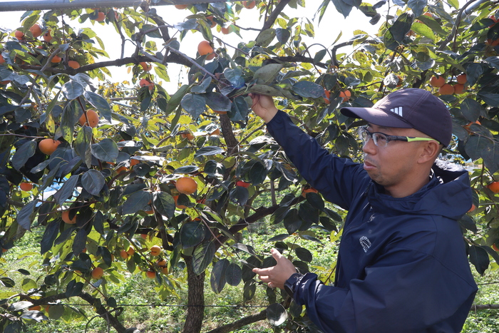 ひとメイン画像