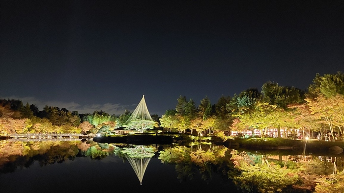 写真：ライトアップされた日本庭園