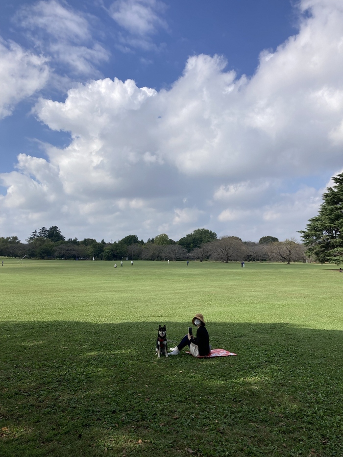 写真：座る女性と犬