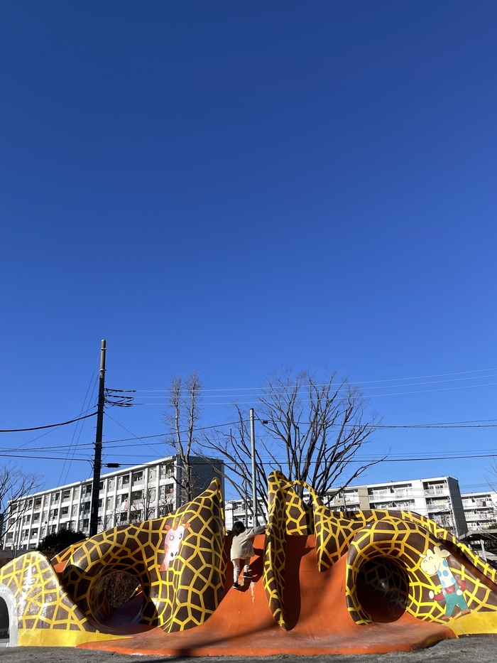 写真：青空と公園