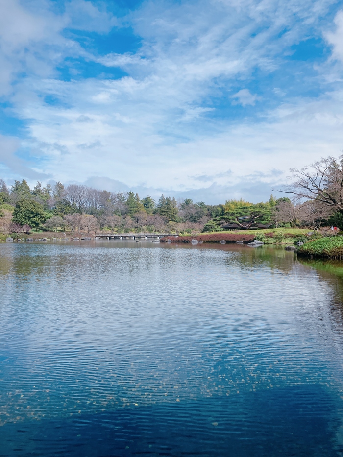 写真：晴れた公園